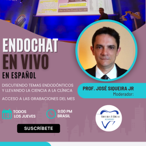 Membresía del Endochat en Español - 6 mesese